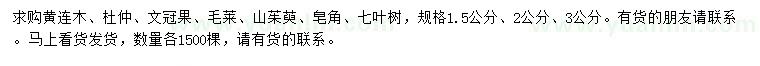 求购黄连木、杜仲、文冠果等