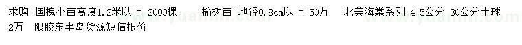 求购国槐苗、榆树苗、北美海棠