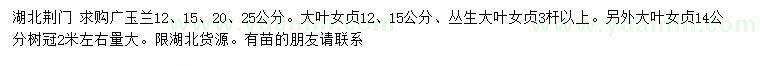 求购广玉兰、大叶女贞、丛生大叶女贞