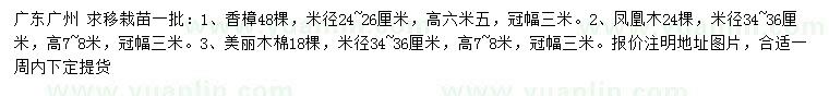 求购香樟、凤凰木、美丽木棉