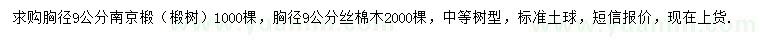 求购胸径9公分南京椴（椴树）、丝棉木