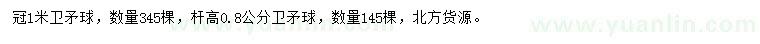 求购冠1米、高0.8公分卫矛球