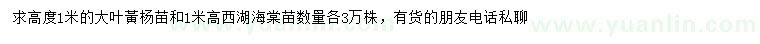 求购高1米大叶黃杨苗、西府海棠苗