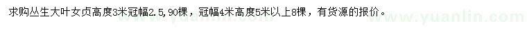 求购高3、5米丛生大叶女贞