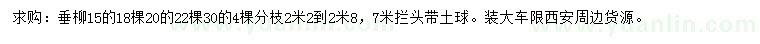 求购15、20、30公分垂柳