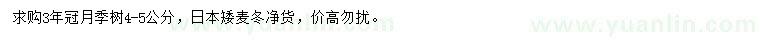 求购4-5公分月季树、日本矮麦冬