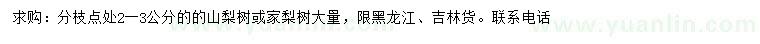 求购2-3公分山梨树、家梨树