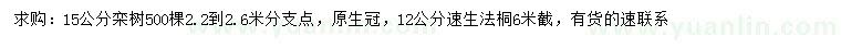 求购15公分栾树、12公分速生法桐