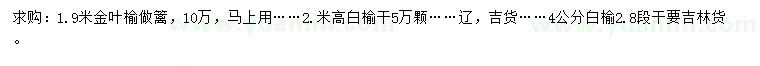 求购1.9米金叶榆、2米白榆