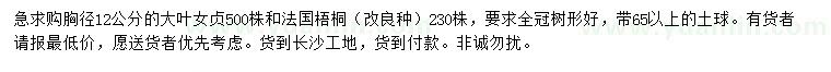 求购胸径12公分大叶女贞、法国梧桐