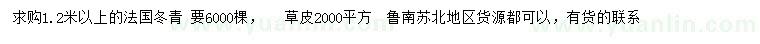 求购1.2米以上法国冬青、草皮