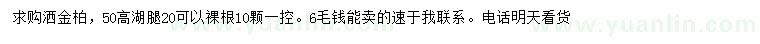 求购高50公分洒金柏