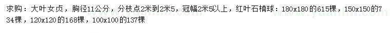 求购胸径11公分大叶女贞、红叶石楠球