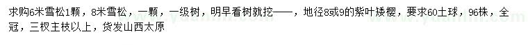 求购6、8米雪松、地径8、9公分紫叶矮樱