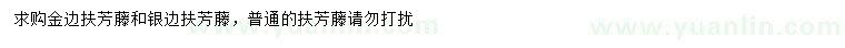 求购金边扶芳藤、银边扶芳藤