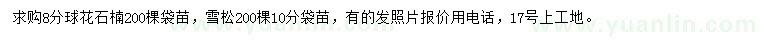 求购8公分石楠球花、10公分雪松
