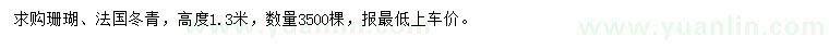 求购高1.3米法国冬青