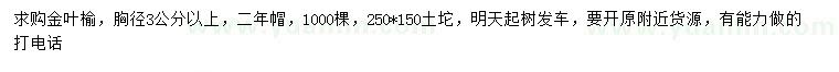 求购胸径3公分以上金叶榆