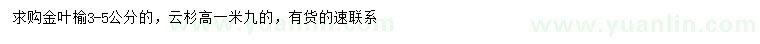 求购3-5公分金叶榆、高1.9米云杉