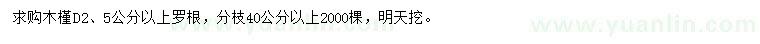 求购地径2、5公分以上木槿