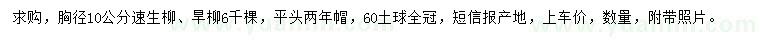 求购胸径10公分速生柳、旱柳