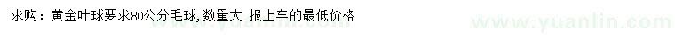 求购冠幅80公分黄金叶球