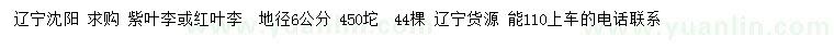 求购地径6公分紫叶李或红叶李