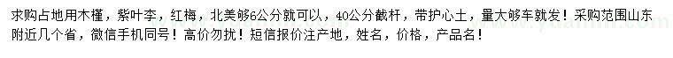 求购木槿、紫叶李、红梅等