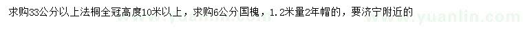 求购33公分以上法桐、6公分国槐