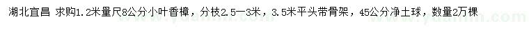 求购1.2米量尺8公分小叶香樟