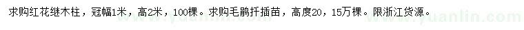 求购高2米红花继木柱、20公分毛鹃扦插苗