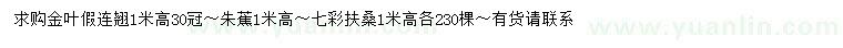 求购金叶假连翘、朱蕉、七彩扶桑