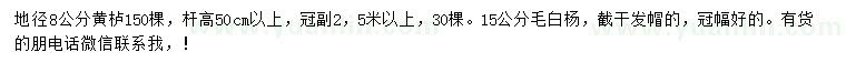 求购地径8公分黄栌、15公分毛白杨