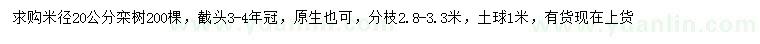 求购米径20公分栾树