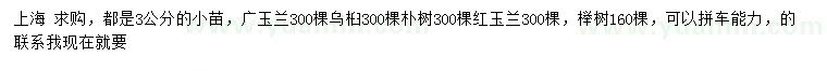 求购广玉兰、乌桕、朴树等