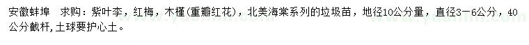 求购紫叶李、红梅、木槿（重瓣红花）等