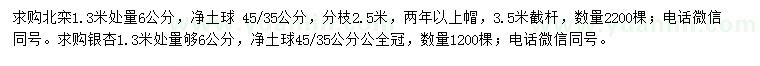 求购1.3米量6公分北栾、银杏