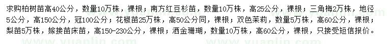 求购柏树苗、南方红豆杉、三角梅等