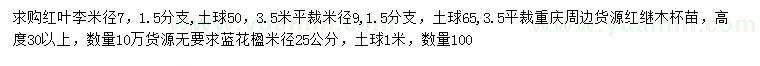 求购红叶李、红继木、蓝花楹