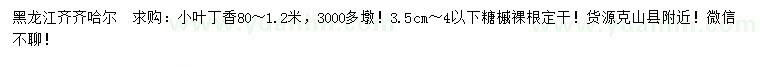 求购80-120公分小叶丁香、3.5-4公分以下糖槭