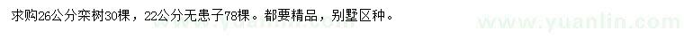 求购26公分栾树、22公分无患子