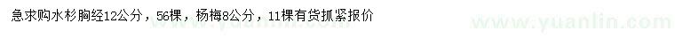 求购胸径12公分水杉、8公分杨梅