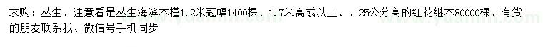 求购冠幅1.2米丛生海滨木槿、高25公分红花继木