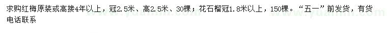 求购冠幅2.5米红梅、1.8米以上花石榴