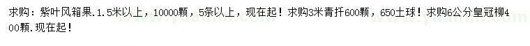 求购紫叶风箱果、青扦、皇冠柳