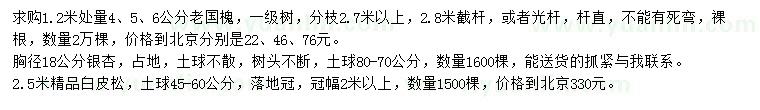 求购老国槐、银杏、白皮松