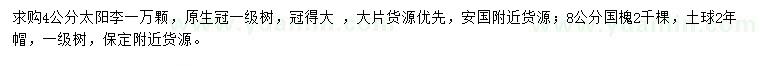 求购4公分太阳李、8公分国槐