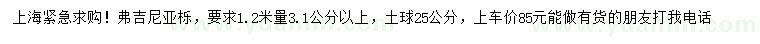 求购1.2米量3.1公分以上弗吉尼亚栎