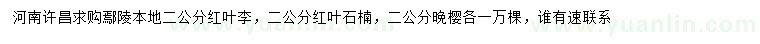 求购红叶李、红叶石楠、晚樱