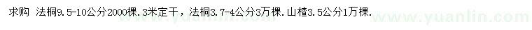 求购3.7-4、9.5-10公分法桐、3.5公分山楂树